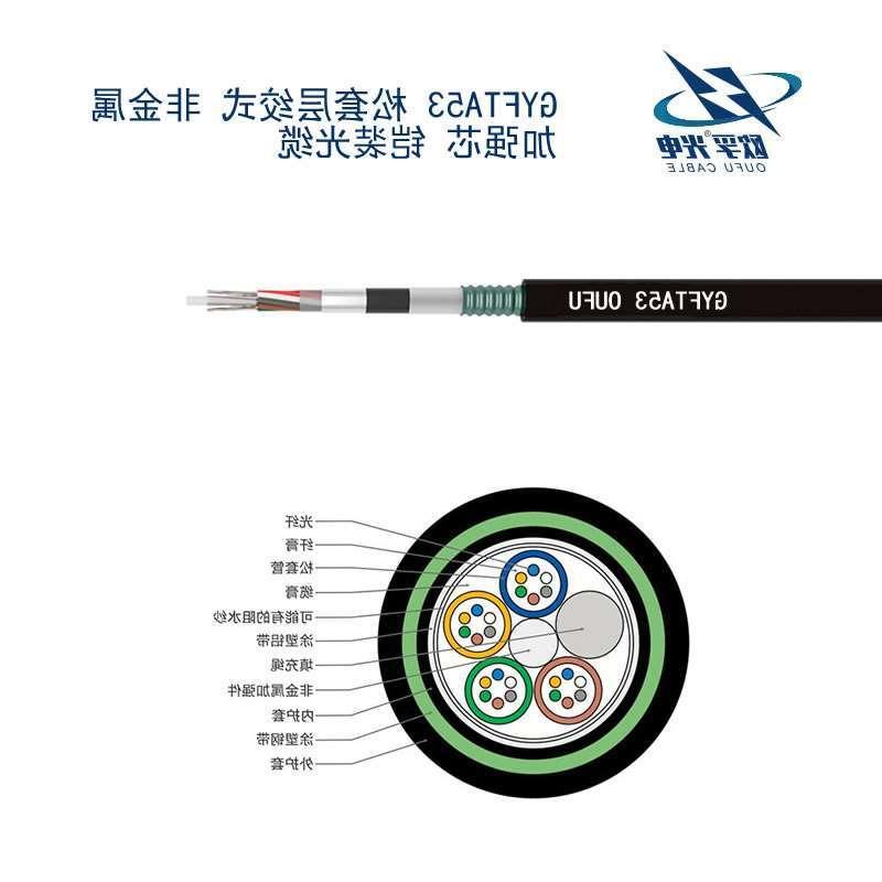 昭通市GYFTA53光缆